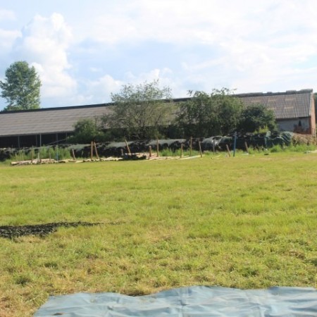 IMG 1782 - Scouts en Gidsen Zaventem 